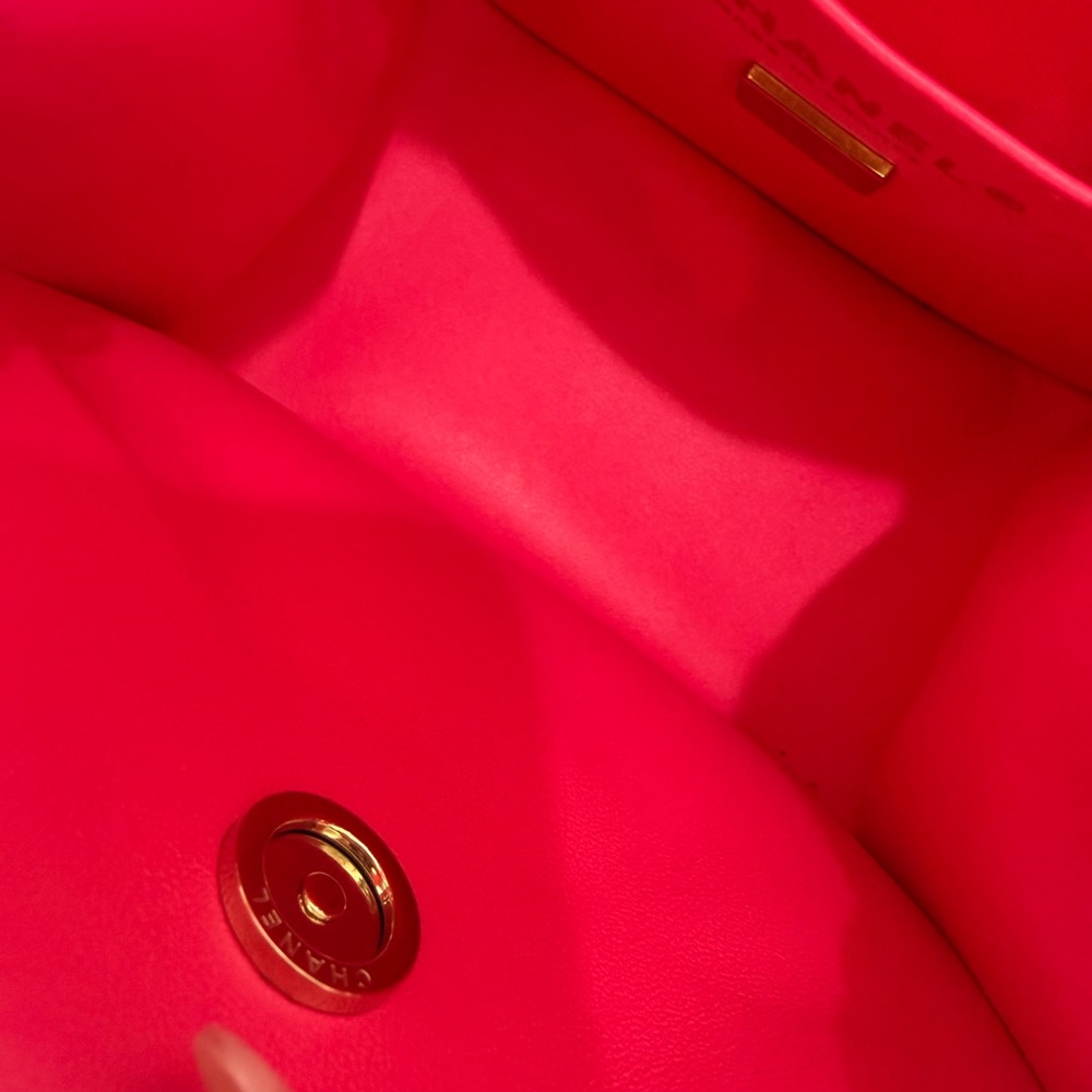 CHANEL Pink Crossbody Bag - Picture 14 of 16